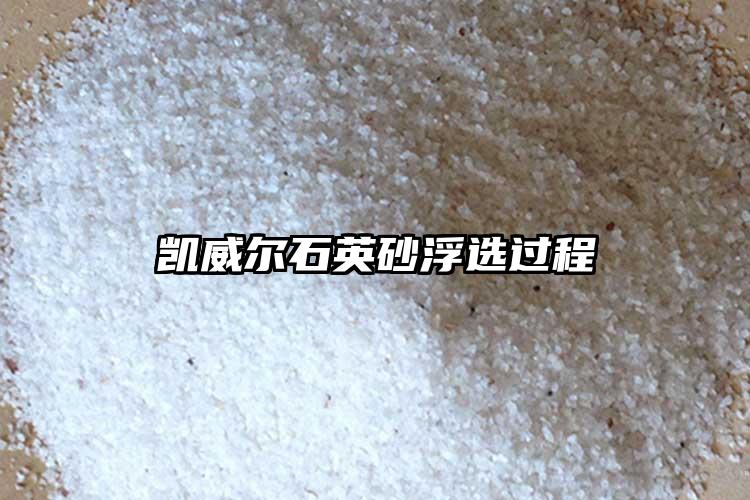 生產廠家草莓色版APP免费下载砂浮選過程